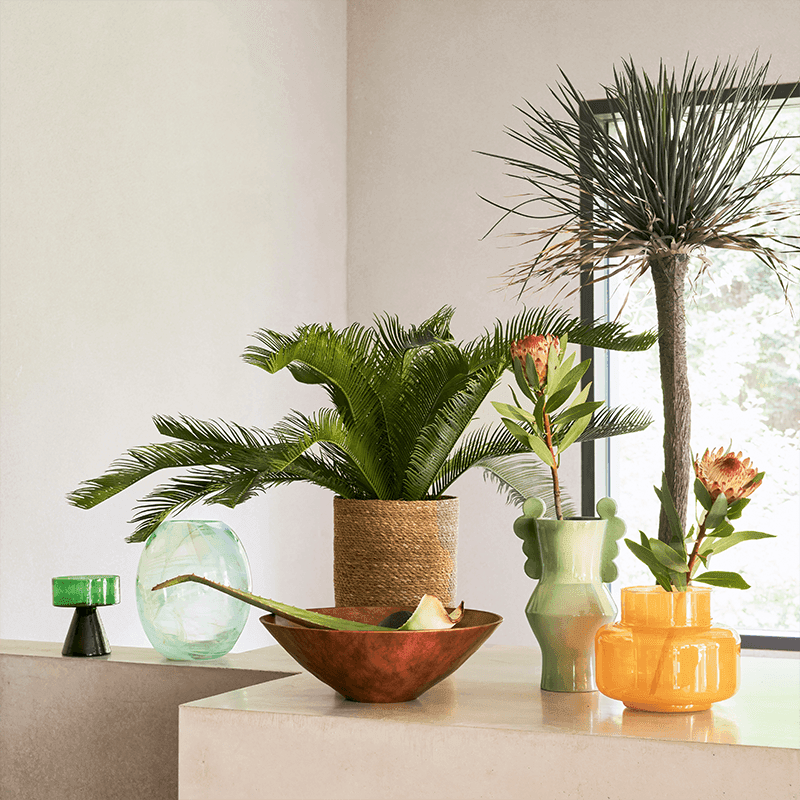 Vase Circulo Vert Pâle