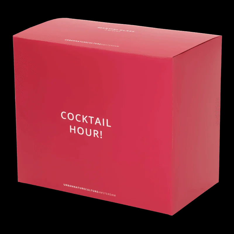 Martini cocktail glass, set of 2, in gift pack