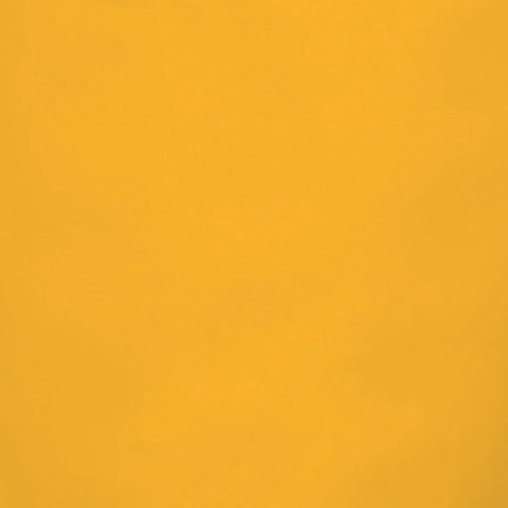 Good Morning cup Coffee Daylily