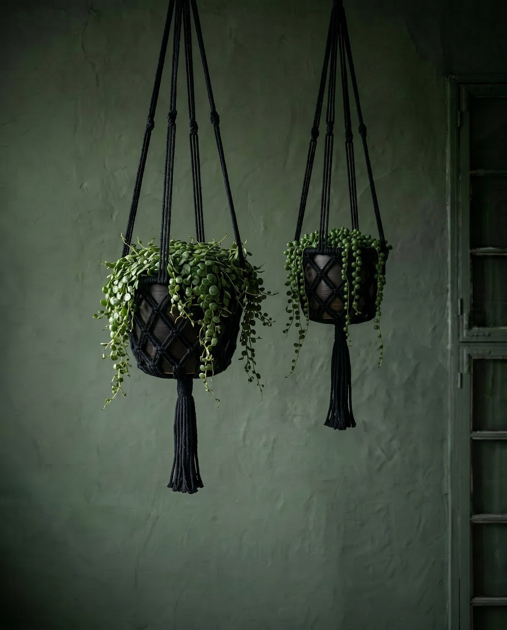 Le Cintre pour Plantes en Macramé - Noir - M