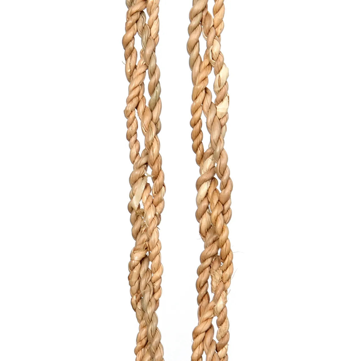 De Vanilla Shell Hangdecoratie