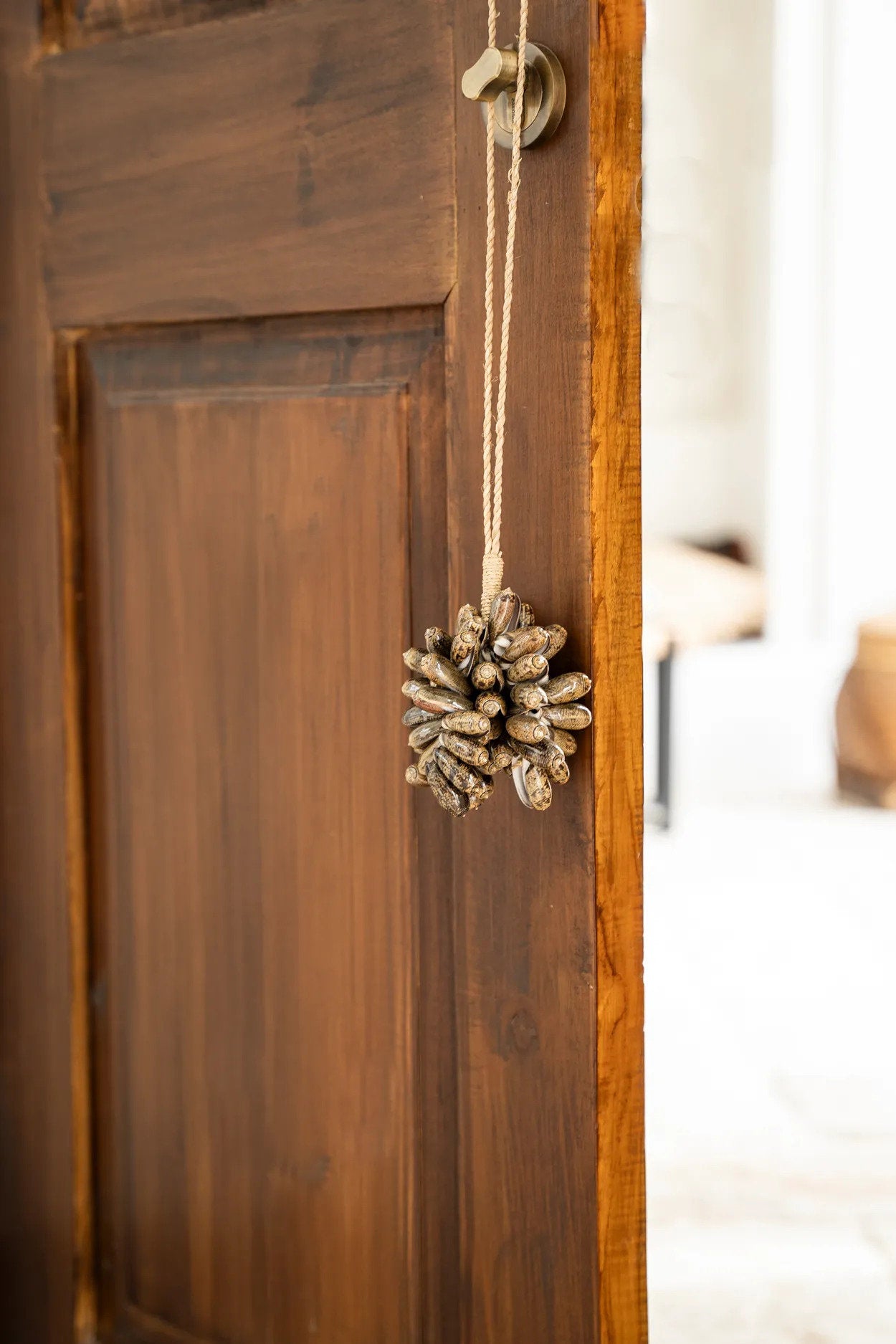 De Brown Cowrie Shell Hangdecoratie