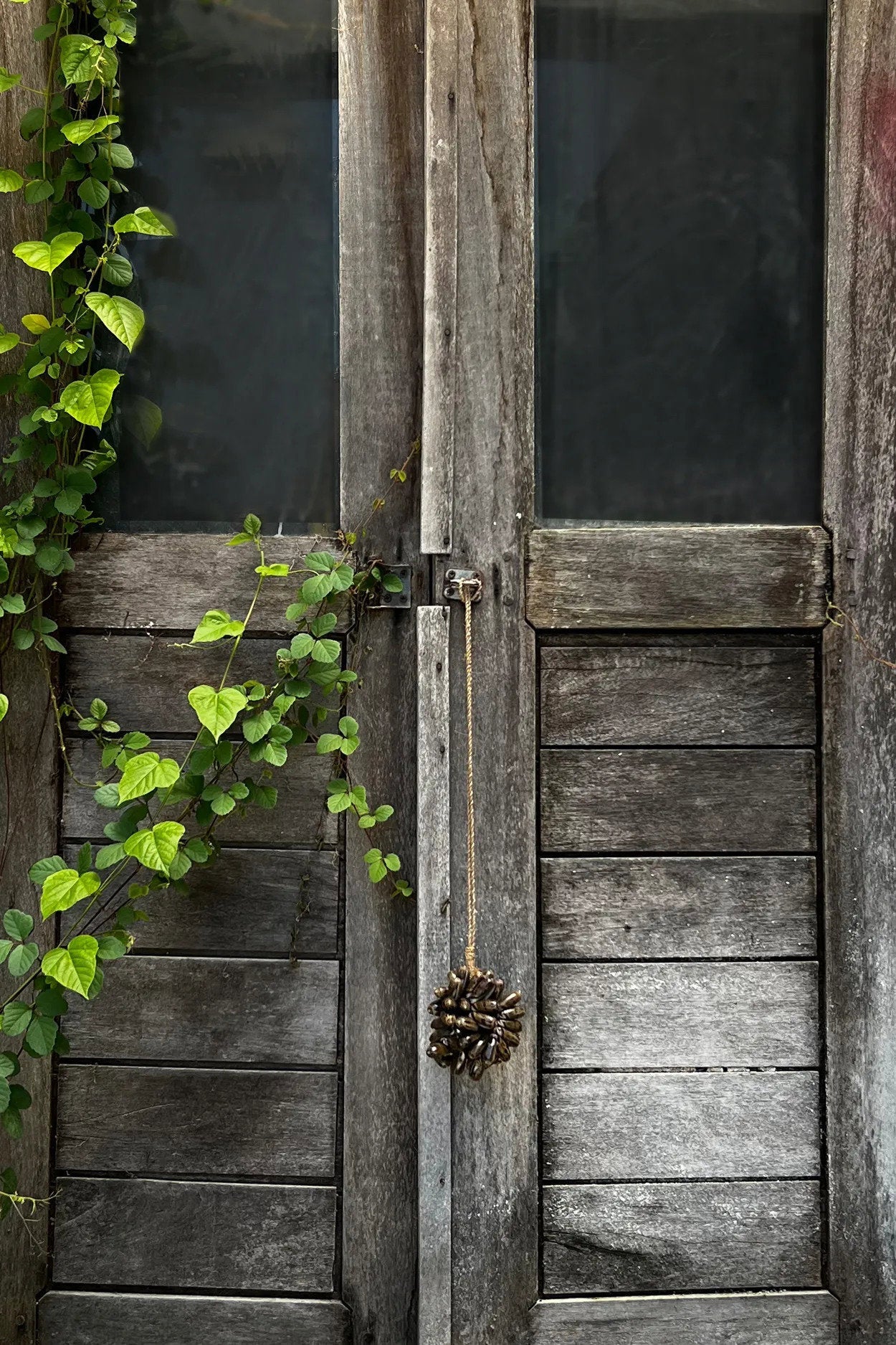 De Brown Cowrie Shell Hangdecoratie