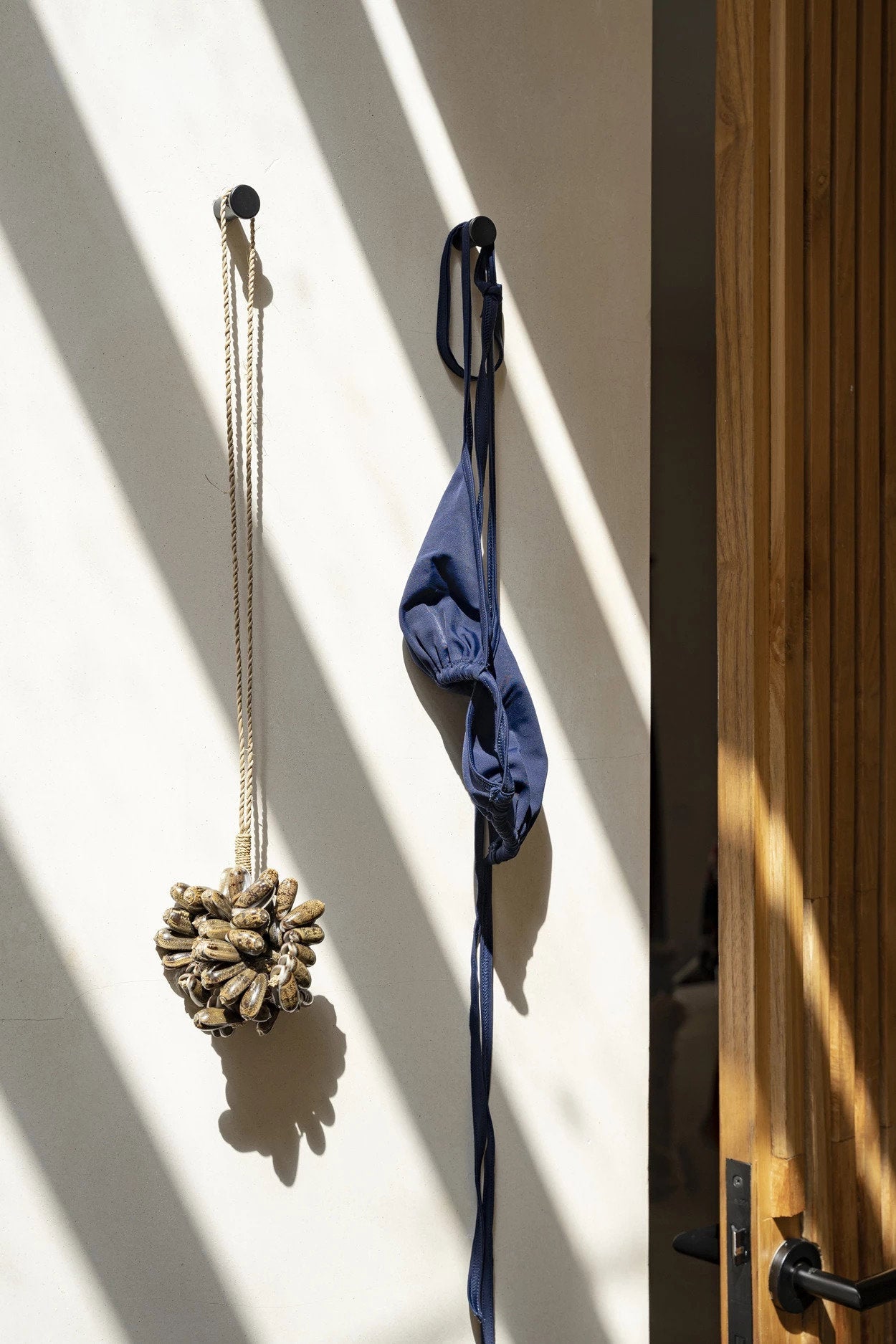 De Brown Cowrie Shell Hangdecoratie
