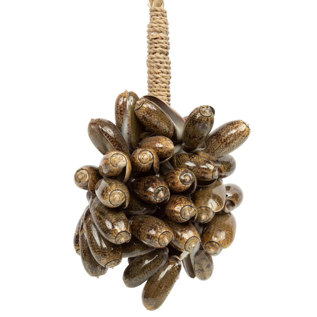 De Brown Cowrie Shell Hangdecoratie