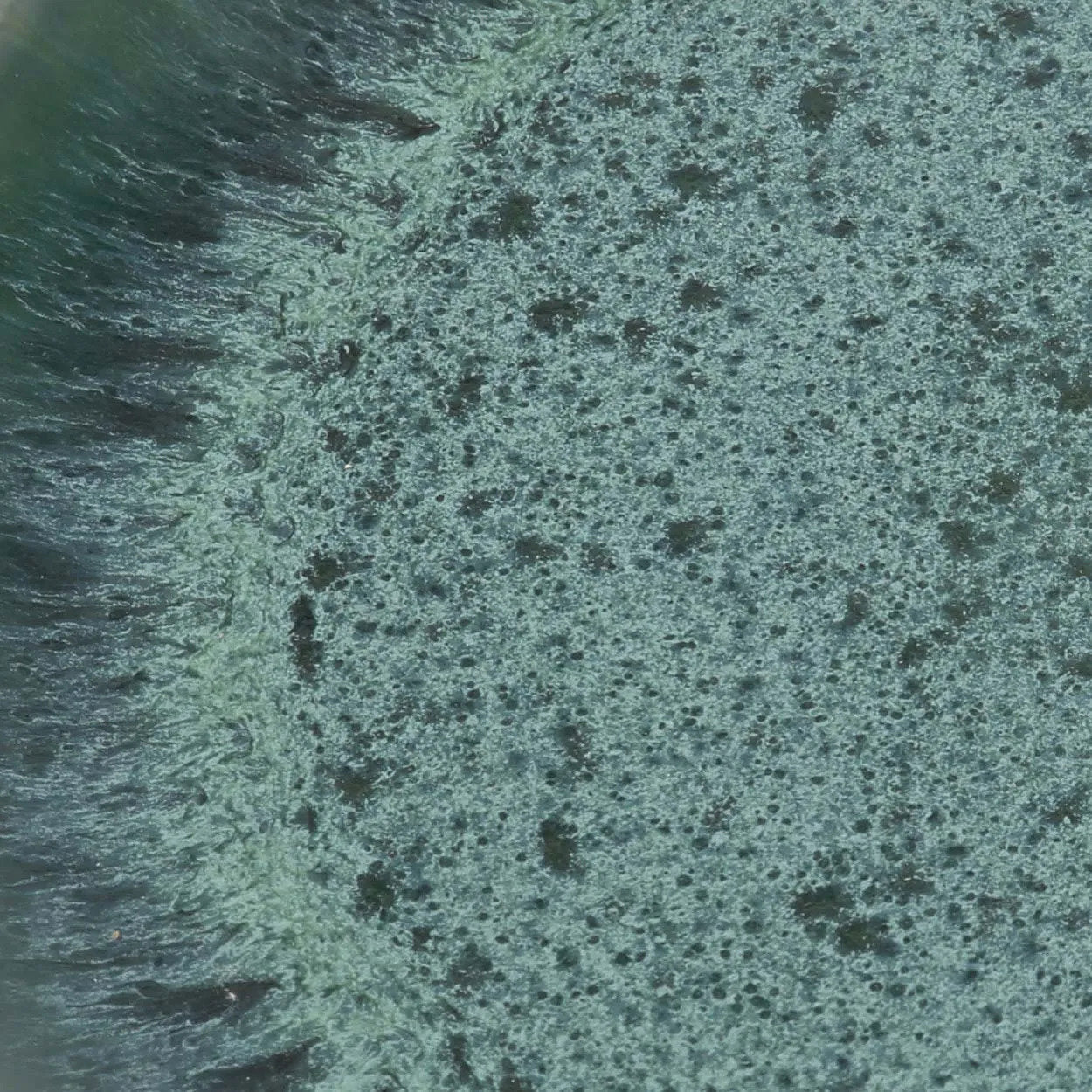 The Aqua Dinner Plate