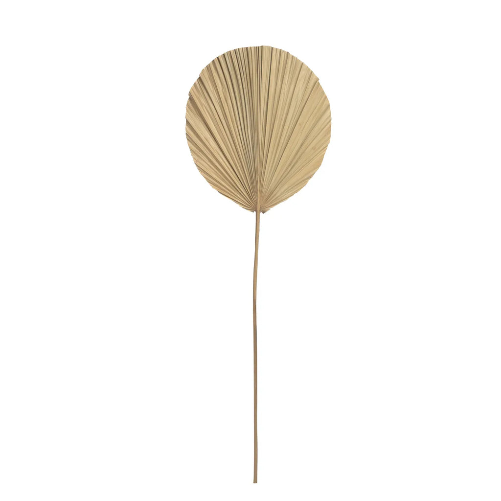 Het Rayung Blad - Naturel - Set van 4 Bazar Bizar