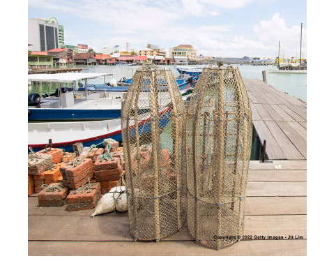 The Fish Trap Pendant The Fish Trap Pendant Casa Calida Interior