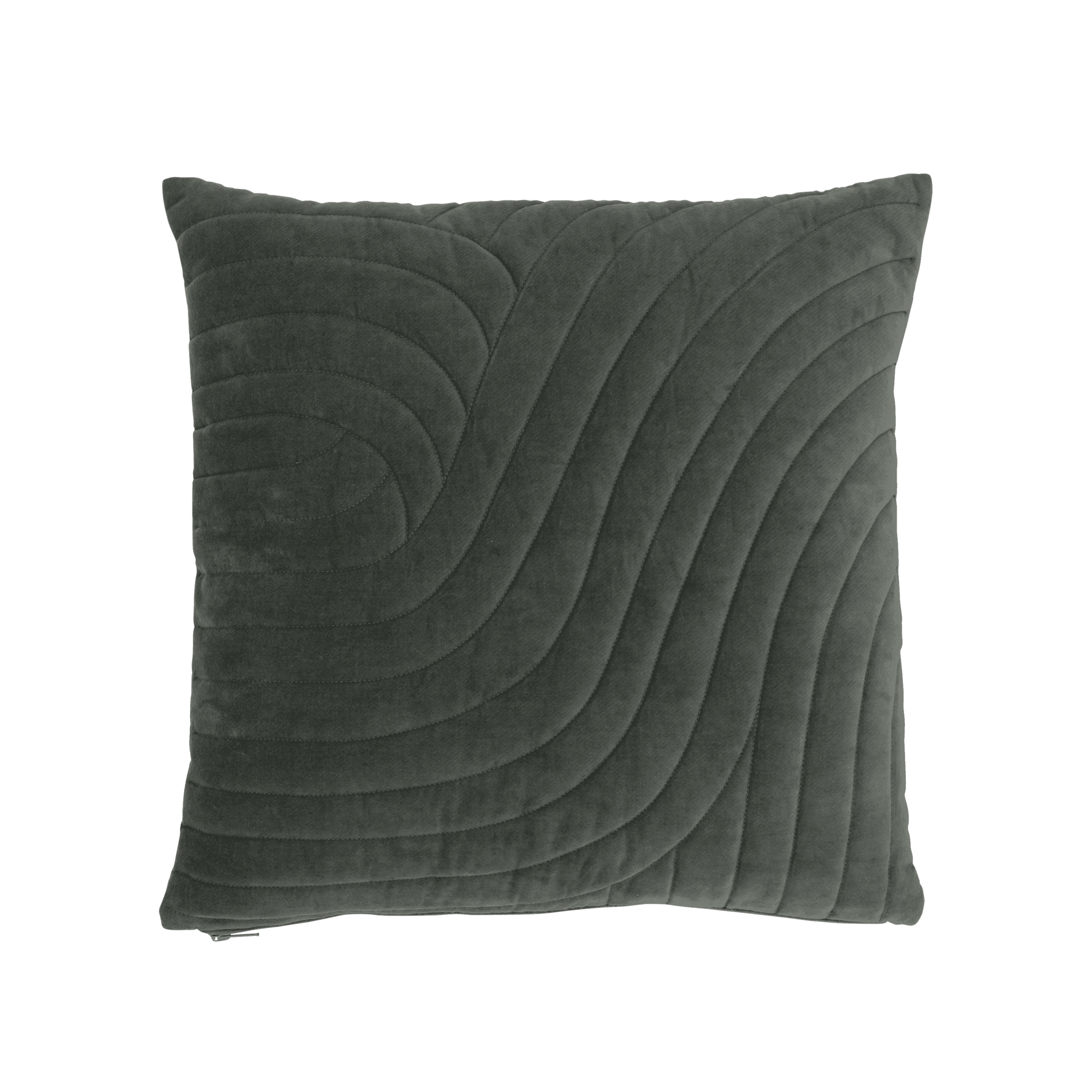 Cushion Kiruto B Beetle
