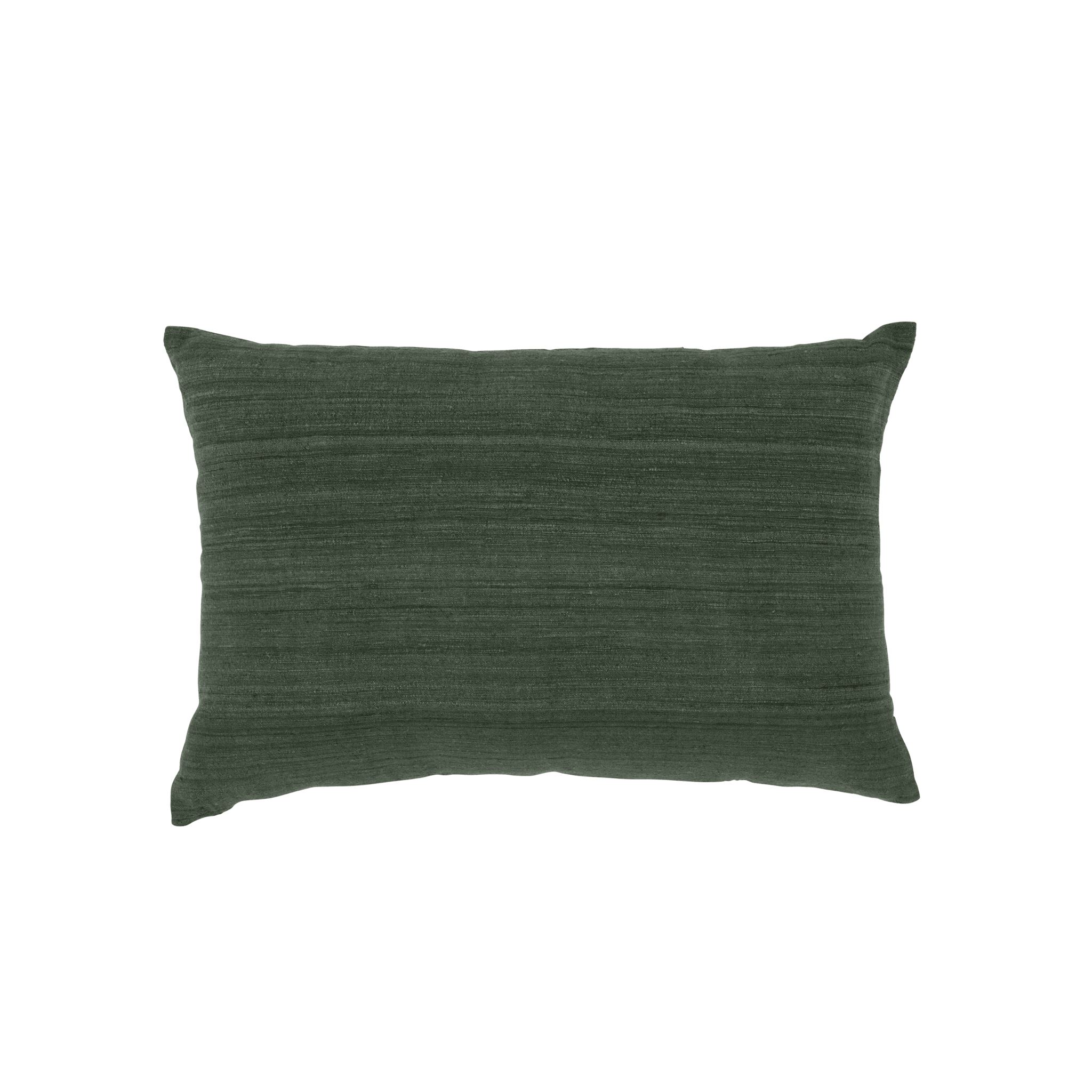 Cushion Beetle