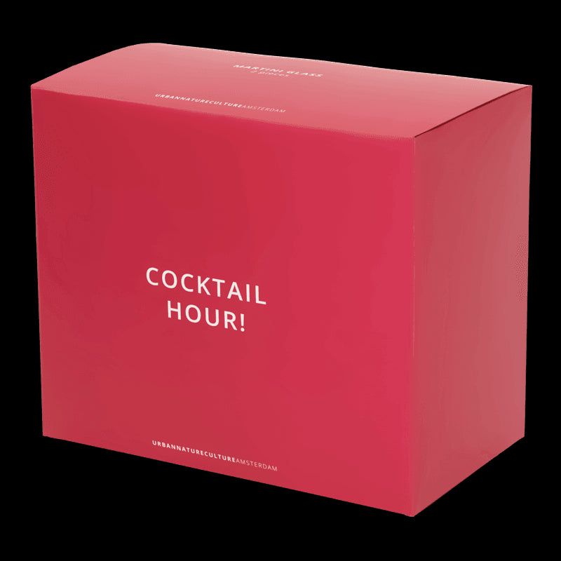 Martini cocktail glass, set of 2, in gift pack