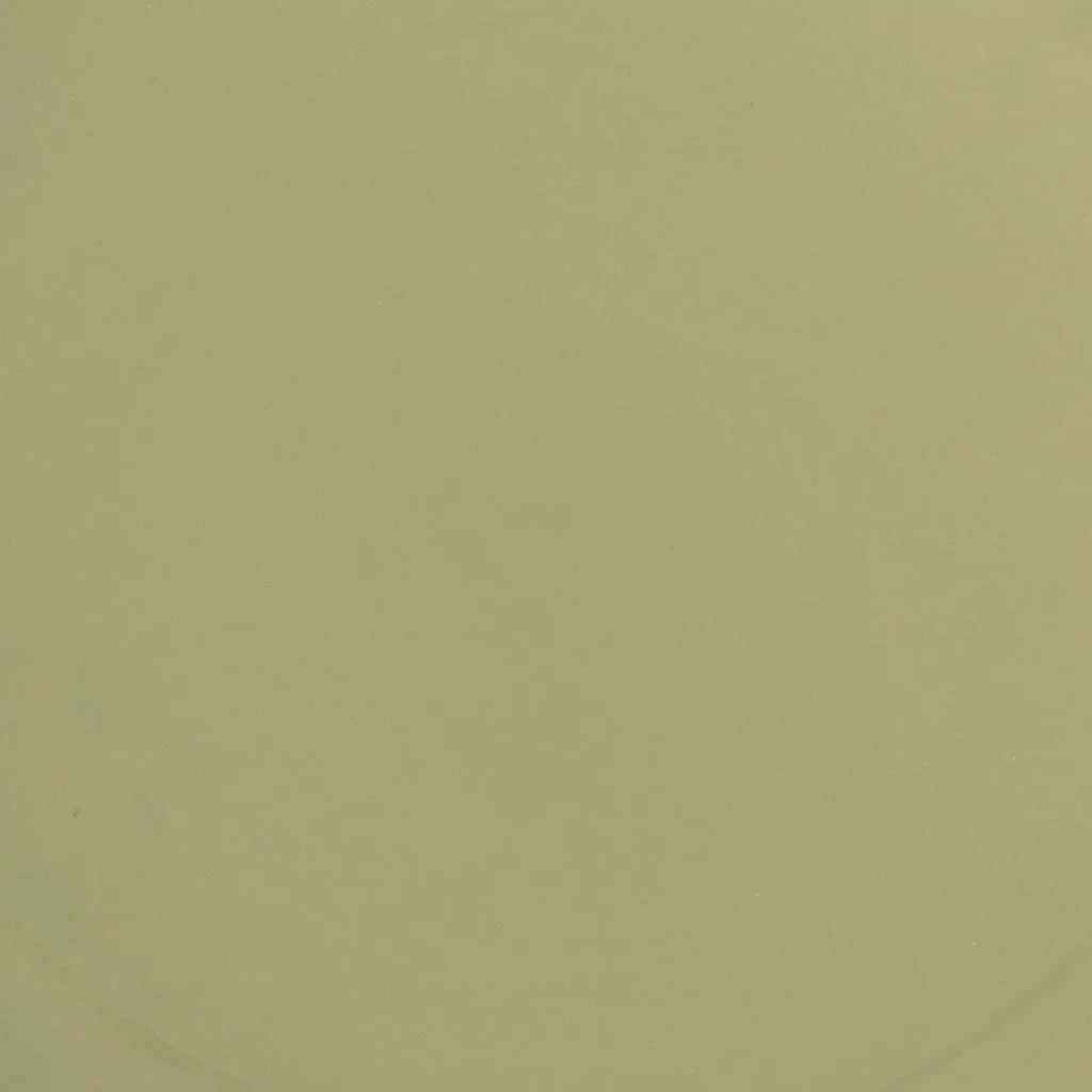 Good Morning plate Sculpted, Pale Green