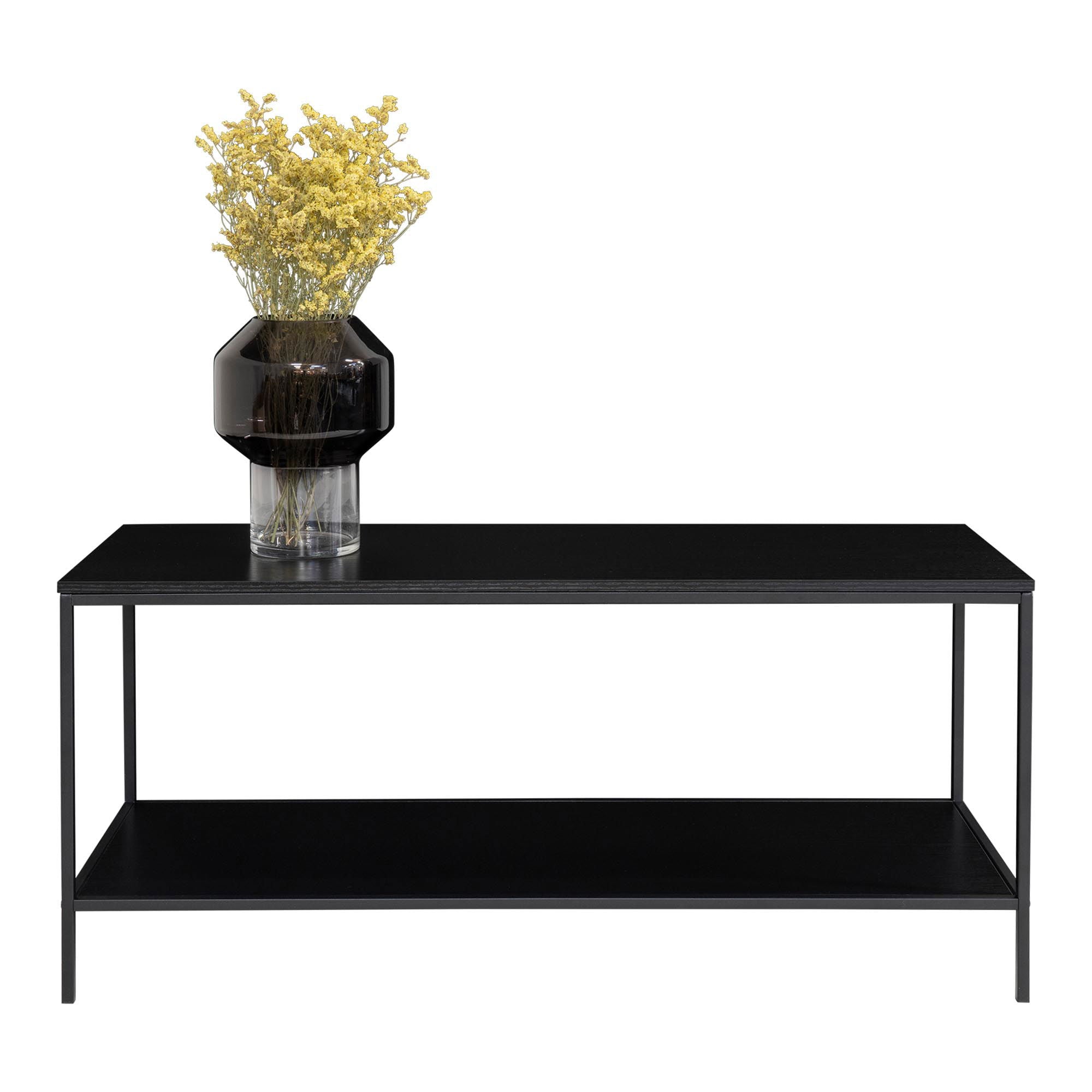 Vita TV Stand - TV table with black frame and two black shelves 100x36x45 cm