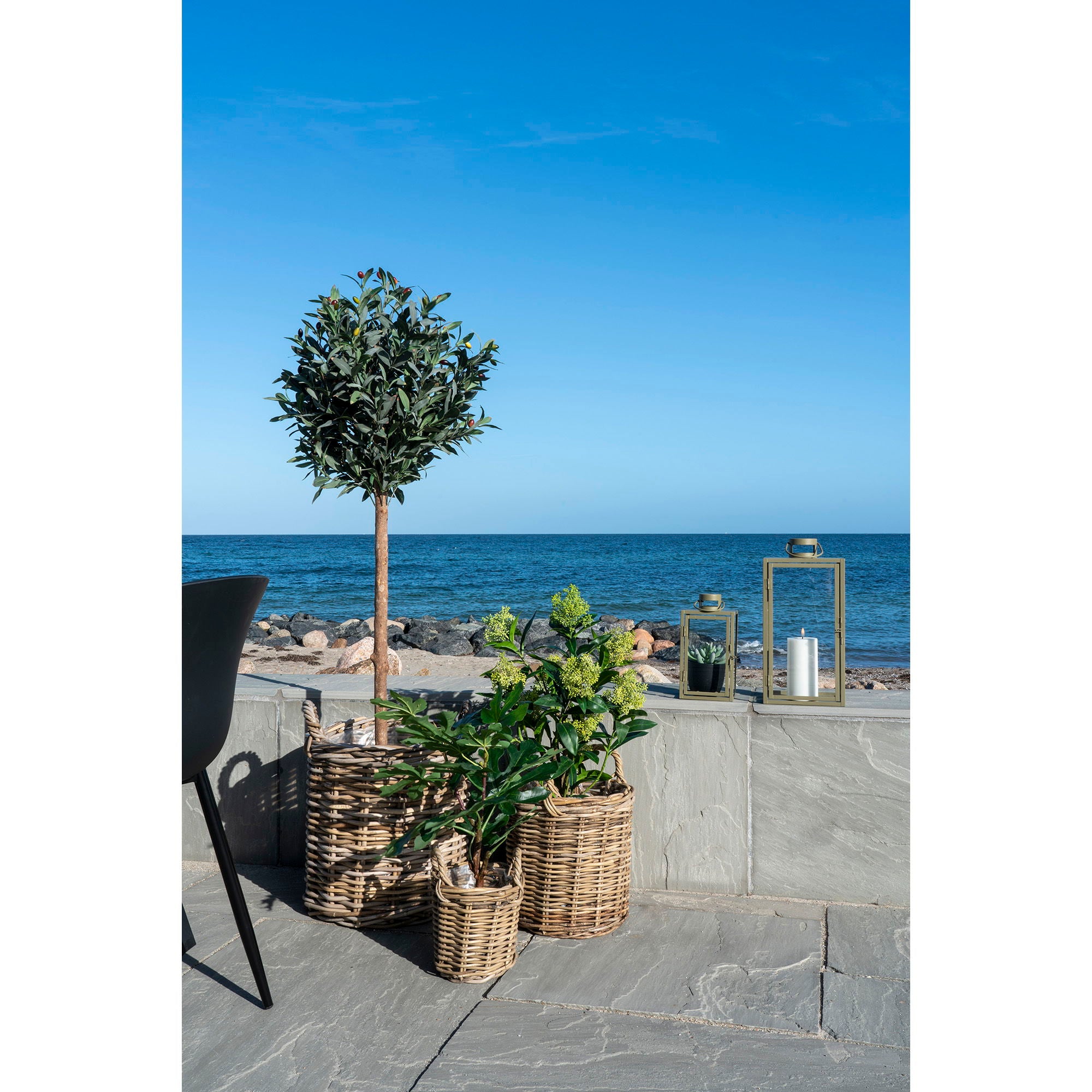 Skimmia Tree - Artificial plant, green, 75 cm