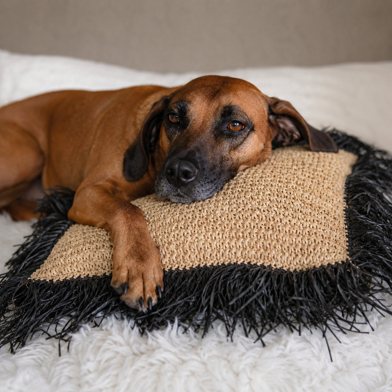 The Raffia Cushion Cover - Natural Black - 40x40