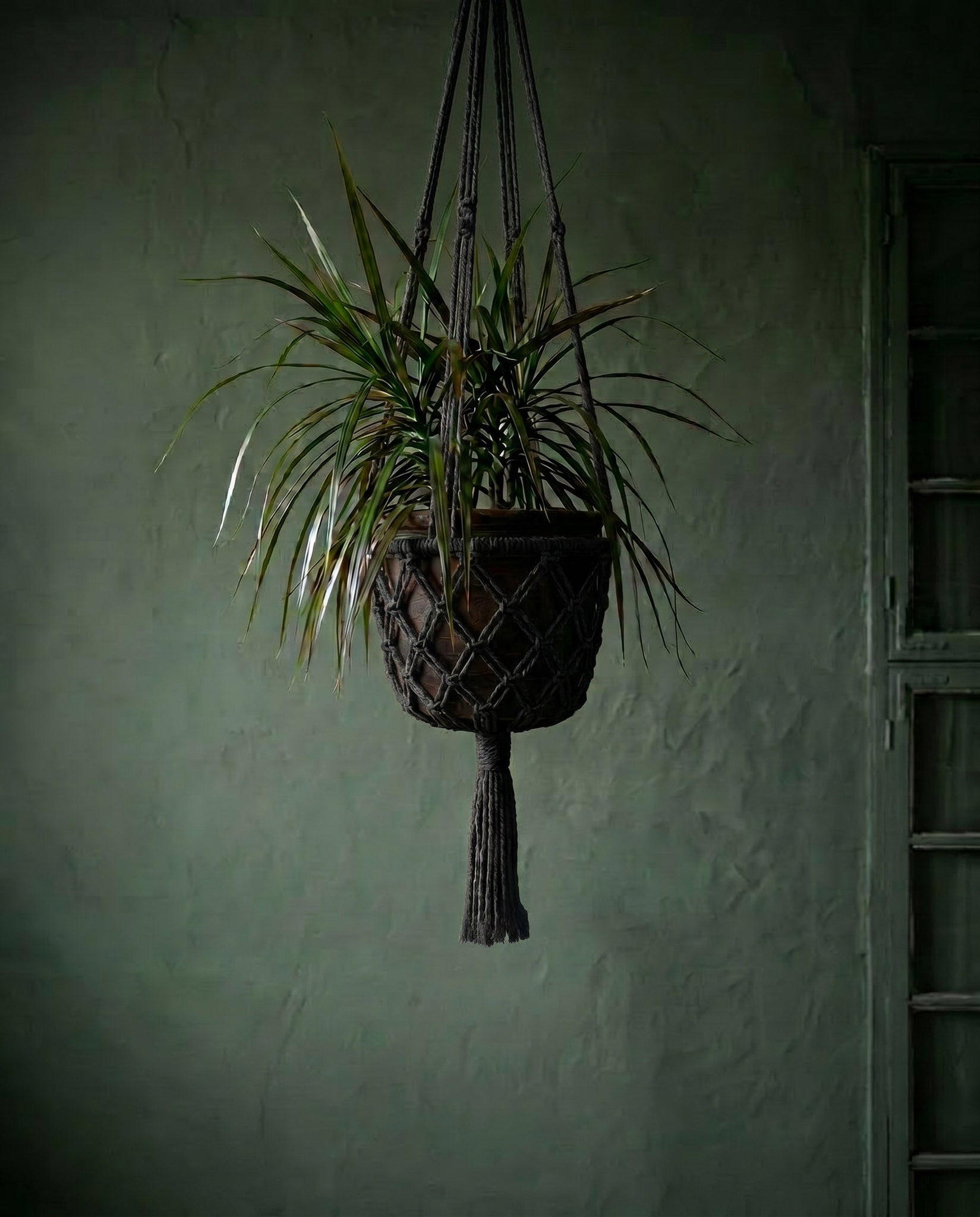 Le Support à Plantes en Macramé - Noir - L