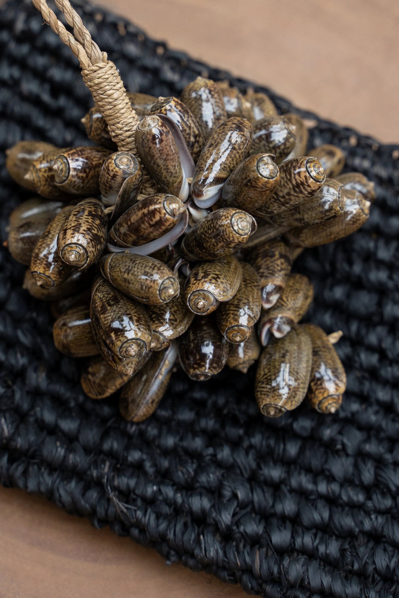 De Brown Cowrie Shell Hangdecoratie