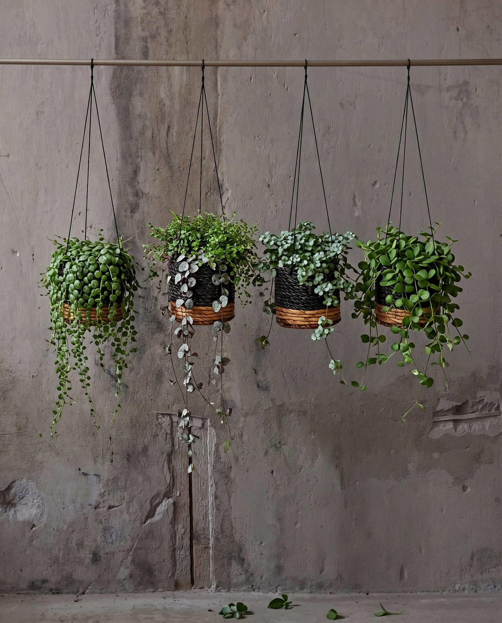 Suspension pour Plantes Feuille de Bananier - Noir Naturel