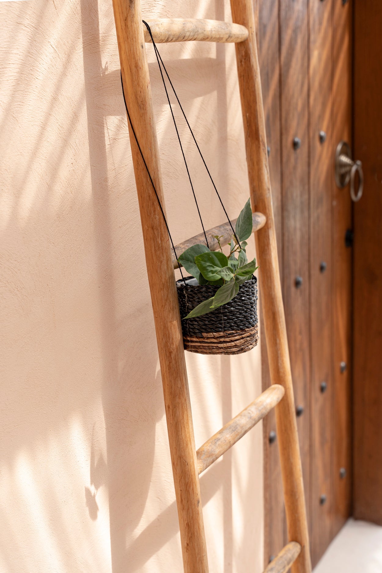 Suspension pour Plantes Feuille de Bananier - Noir Naturel