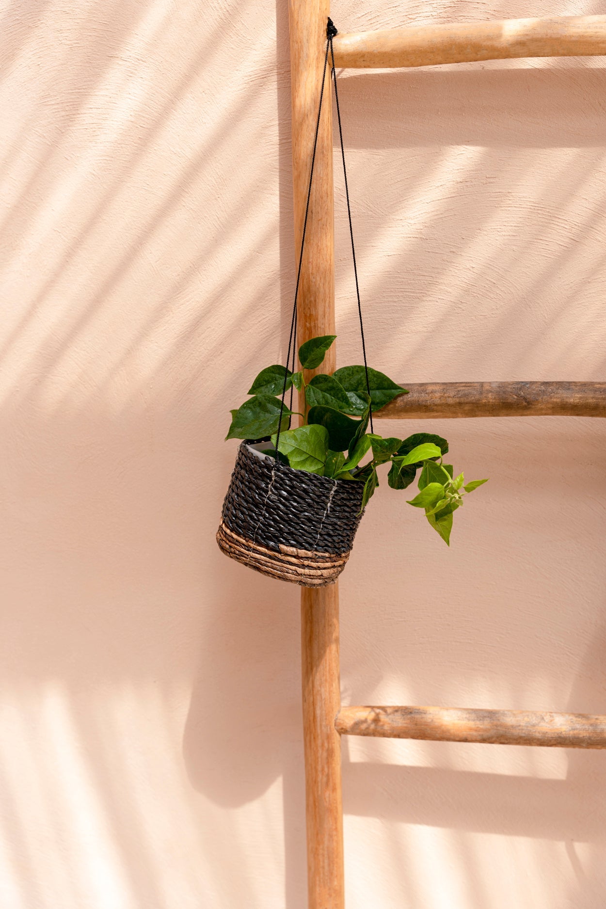 Suspension pour Plantes Feuille de Bananier - Noir Naturel