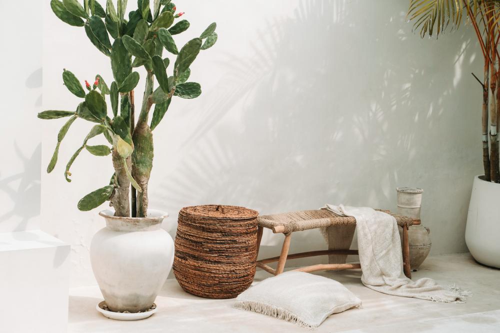 Deze muur is prachtig ingericht met een cactus in een witte vaas. Mand om dekentjes in te droppen. Kussen en plaid zorgen voor een cosy vibe in deze ruimte. Altijd goed advies bij Casa Calida.