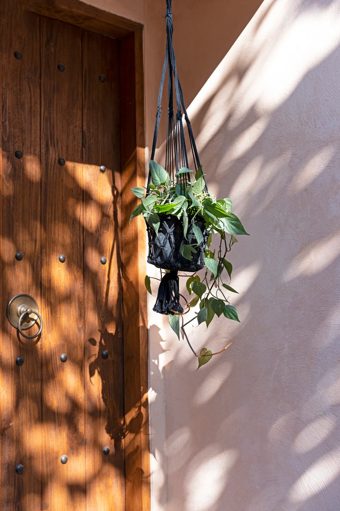 The Macrame Plant Hanger - Black - L