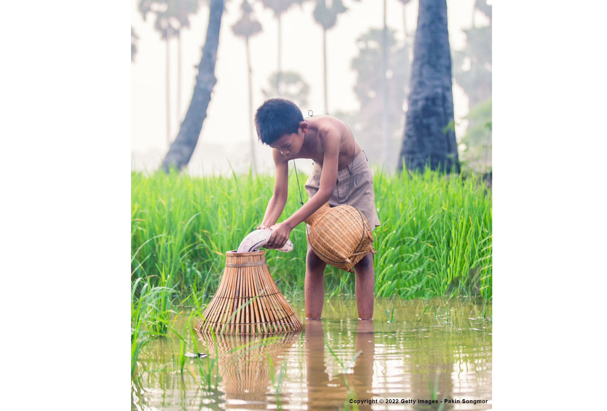 Veel producten van ons komen van Indonesie. Daar hebben zij een bepaalde functie. Waaronder het vangen van voedsel. Hier heeft de lobster trap pendant de functie om vissen te vangen.